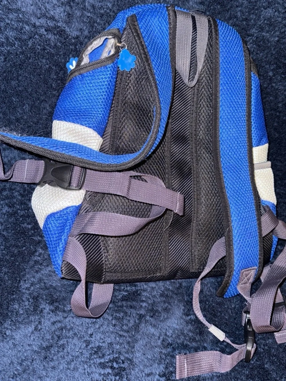 Blue and Cream dog/cat carrier backpack